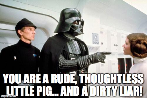 darth vader leia | YOU ARE A RUDE, THOUGHTLESS LITTLE PIG... AND A DIRTY LIAR! | image tagged in darth vader leia | made w/ Imgflip meme maker