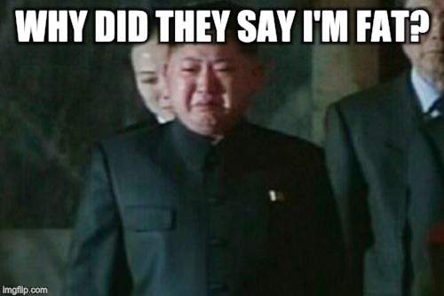 Kim Jong Un Sad | WHY DID THEY SAY I'M FAT? | image tagged in memes,kim jong un sad | made w/ Imgflip meme maker
