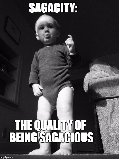 sagacious baby | SAGACITY:; THE QUALITY OF BEING SAGACIOUS | image tagged in sagacious baby,baby,cute baby,baby back ribs | made w/ Imgflip meme maker