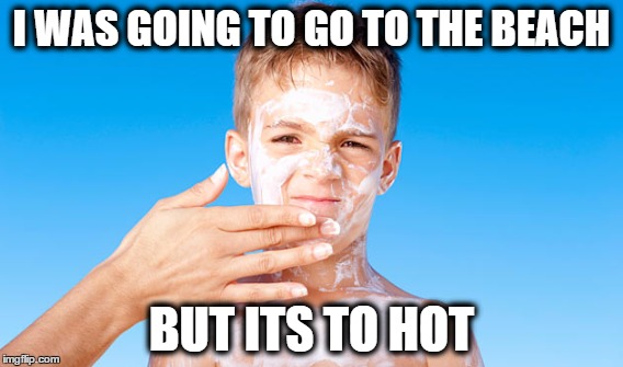 I Was Going To Go To The Beach | I WAS GOING TO GO TO THE BEACH; BUT ITS TO HOT | image tagged in day at the beach,too hot | made w/ Imgflip meme maker
