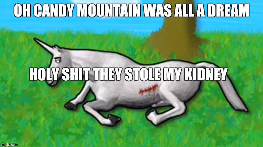 charlie the unicorn | OH CANDY MOUNTAIN WAS ALL A DREAM; HOLY SHIT THEY STOLE MY KIDNEY | image tagged in charlie the unicorn | made w/ Imgflip meme maker