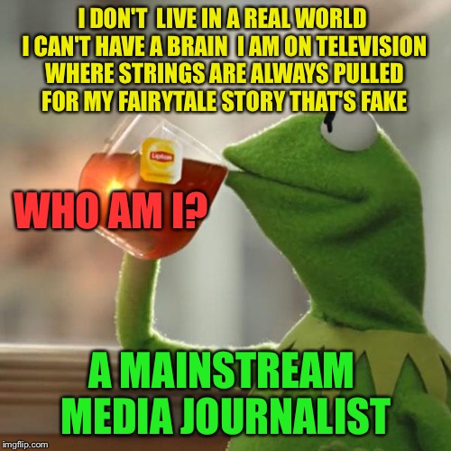 But That's Not Who Am My Business | I DON'T  LIVE IN A REAL WORLD I CAN'T HAVE A BRAIN  I AM ON TELEVISION WHERE STRINGS ARE ALWAYS PULLED FOR MY FAIRYTALE STORY THAT'S FAKE; WHO AM I? A MAINSTREAM MEDIA JOURNALIST | image tagged in memes,but thats none of my business,kermit the frog,msm,msm lies,funny | made w/ Imgflip meme maker