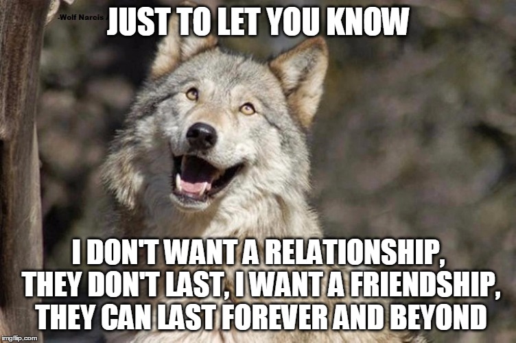 Optimistic Moon Moon Wolf Vanadium Wolf | JUST TO LET YOU KNOW; I DON'T WANT A RELATIONSHIP, THEY DON'T LAST, I WANT A FRIENDSHIP, THEY CAN LAST FOREVER AND BEYOND | image tagged in optimistic moon moon wolf vanadium wolf | made w/ Imgflip meme maker