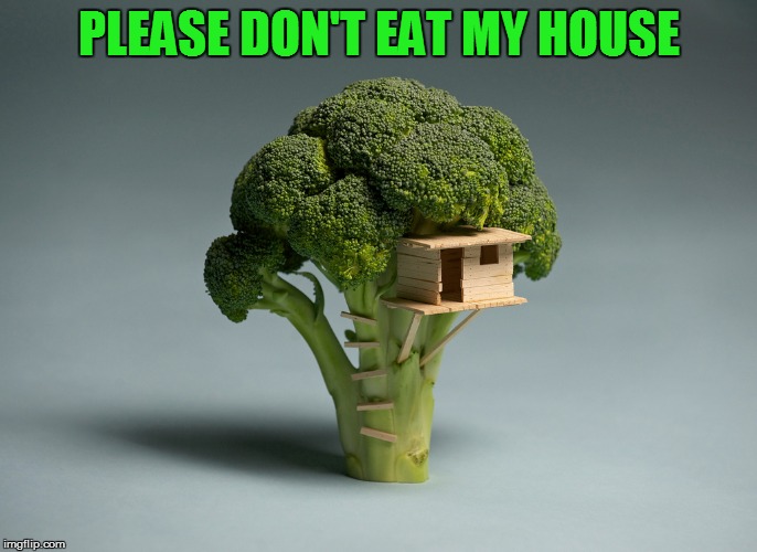 PLEASE DON'T EAT MY HOUSE | made w/ Imgflip meme maker