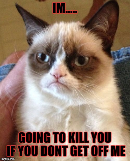 Grumpy Cat Meme | IM..... GOING TO KILL YOU IF YOU DONT
GET OFF ME | image tagged in memes,grumpy cat | made w/ Imgflip meme maker