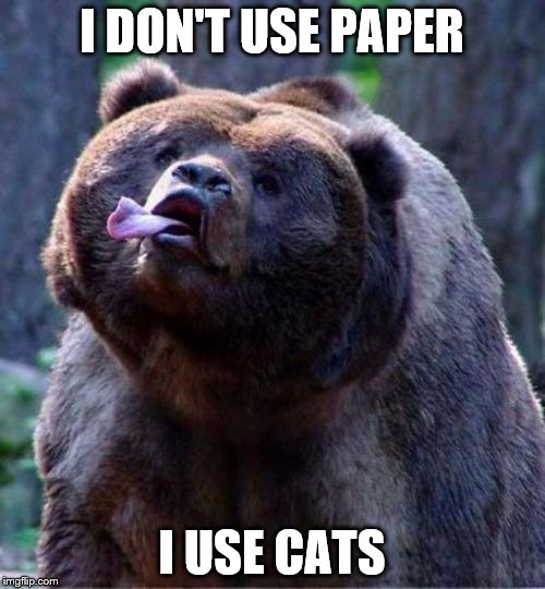 Rude Bear | I DON'T USE PAPER I USE CATS | image tagged in rude bear | made w/ Imgflip meme maker