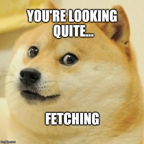Doge Meme | YOU'RE LOOKING QUITE... FETCHING | image tagged in memes,doge | made w/ Imgflip meme maker