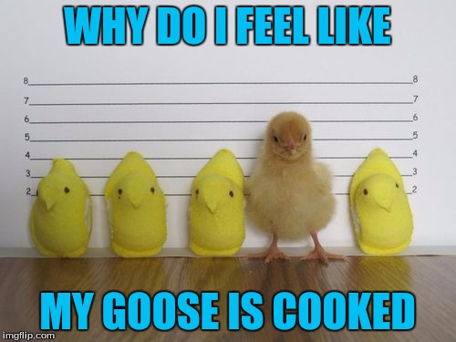 WHY DO I FEEL LIKE MY GOOSE IS COOKED | made w/ Imgflip meme maker