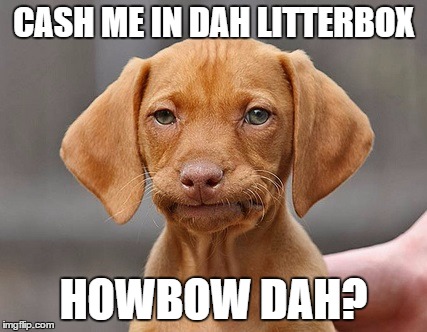 Disappointed Puppy | CASH ME IN DAH LITTERBOX HOWBOW DAH? | image tagged in disappointed puppy | made w/ Imgflip meme maker