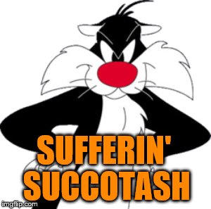 Suffering succotash что это