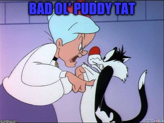 BAD OL' PUDDY TAT | made w/ Imgflip meme maker