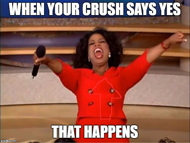 Oprah You Get A Meme | WHEN YOUR CRUSH SAYS YES; THAT HAPPENS | image tagged in memes,oprah you get a | made w/ Imgflip meme maker