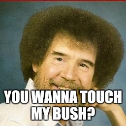 YOU WANNA TOUCH MY BUSH? | made w/ Imgflip meme maker