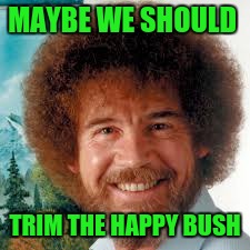 MAYBE WE SHOULD TRIM THE HAPPY BUSH | made w/ Imgflip meme maker