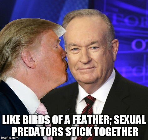 Birds of a Feather | LIKE BIRDS OF A FEATHER; SEXUAL PREDATORS STICK TOGETHER | image tagged in bill o'reilly,donald trump,sexual predator,scumbags,fox news | made w/ Imgflip meme maker