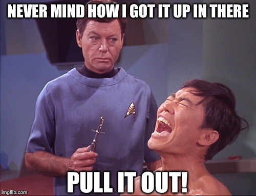 'I'm a Doctor Dammit! Not a Tribble Wrangler!' | NEVER MIND HOW I GOT IT UP IN THERE; PULL IT OUT! | image tagged in gaydar sulu star trek | made w/ Imgflip meme maker