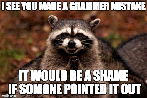 Evil Plotting Raccoon Meme | I SEE YOU MADE A GRAMMER MISTAKE; IT WOULD BE A SHAME IF SOMONE POINTED IT OUT | image tagged in memes,evil plotting raccoon | made w/ Imgflip meme maker