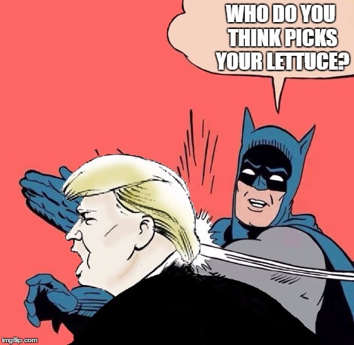 Batman slaps Trump | WHO DO YOU THINK PICKS YOUR LETTUCE? | image tagged in batman slaps trump | made w/ Imgflip meme maker