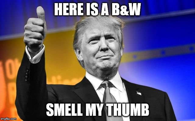 HERE IS A B&W; SMELL MY THUMB | image tagged in trump thumb up bw | made w/ Imgflip meme maker