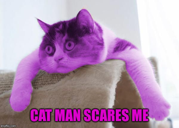 RayCat Stare | CAT MAN SCARES ME | image tagged in raycat stare | made w/ Imgflip meme maker