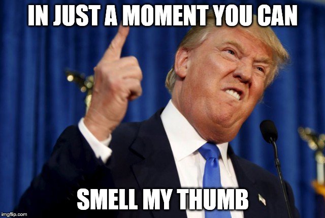 IN JUST A MOMENT YOU CAN; SMELL MY THUMB | image tagged in donald trump | made w/ Imgflip meme maker