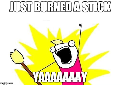 X All The Y | JUST BURNED A STICK; YAAAAAAAY | image tagged in memes,x all the y | made w/ Imgflip meme maker