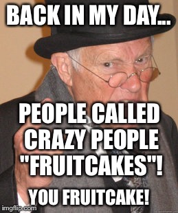 Back In My Day | BACK IN MY DAY... PEOPLE CALLED CRAZY PEOPLE "FRUITCAKES"! YOU FRUITCAKE! | image tagged in memes,back in my day | made w/ Imgflip meme maker