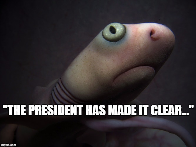 "THE PRESIDENT HAS MADE IT CLEAR..." | image tagged in mitch mcconnell | made w/ Imgflip meme maker