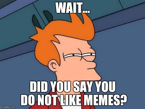 Futurama Fry Meme | WAIT... DID YOU SAY YOU DO NOT LIKE MEMES? | image tagged in memes,futurama fry | made w/ Imgflip meme maker