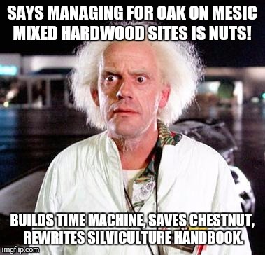 Doc Brown | SAYS MANAGING FOR OAK ON MESIC MIXED HARDWOOD SITES IS NUTS! BUILDS TIME MACHINE, SAVES CHESTNUT, REWRITES SILVICULTURE HANDBOOK. | image tagged in doc brown | made w/ Imgflip meme maker