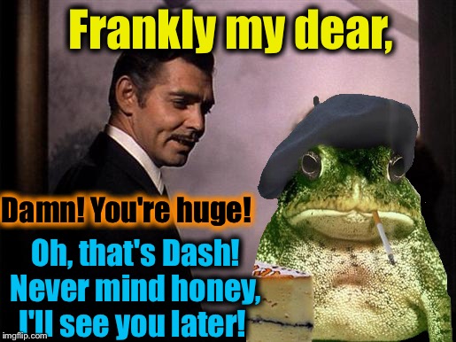 Frankly my dear, Oh, that's Dash! Never mind honey, I'll see you later! Damn! You're huge! | made w/ Imgflip meme maker