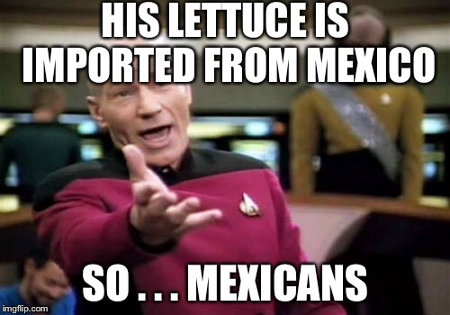 Picard Wtf Meme | HIS LETTUCE IS IMPORTED FROM MEXICO SO . . . MEXICANS | image tagged in memes,picard wtf | made w/ Imgflip meme maker