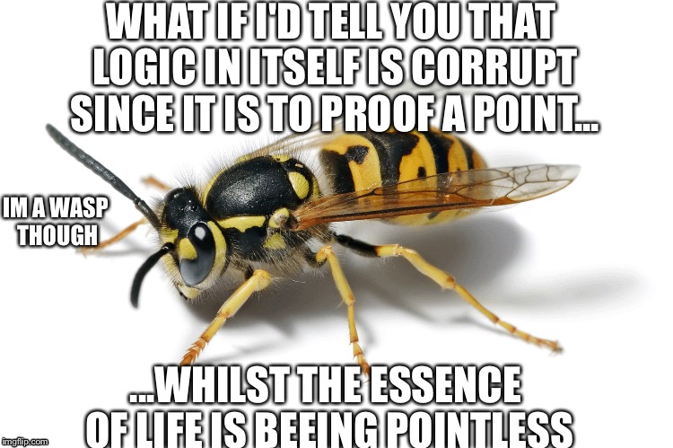 Good to know though | WHAT IF I'D TELL YOU THAT LOGIC IN ITSELF IS CORRUPT SINCE IT IS TO PROOF A POINT... IM A WASP THOUGH; ...WHILST THE ESSENCE OF LIFE IS BEEING POINTLESS | image tagged in bee,42,all is none | made w/ Imgflip meme maker