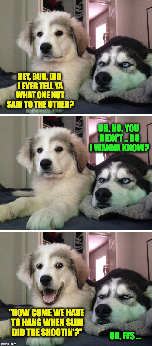 A Nutty Question | HEY, BUD, DID I EVER TELL YA WHAT ONE NUT SAID TO THE OTHER? UH, NO, YOU DIDN'T .. DO I WANNA KNOW? "HOW COME WE HAVE TO HANG WHEN SLIM DID THE SHOOTIN'?"; OH, FFS ... | image tagged in bad pun dogs | made w/ Imgflip meme maker