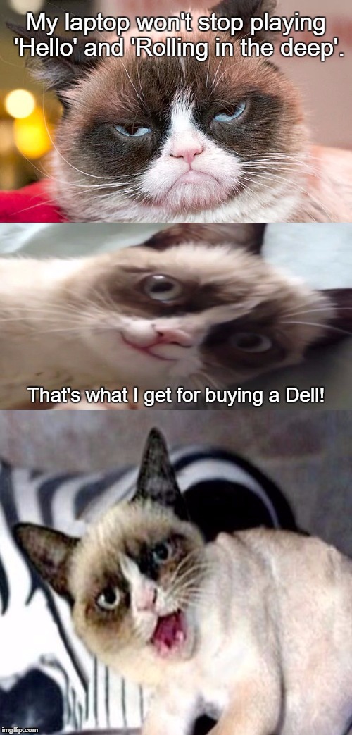 Bad Pun Grumpy Cat | My laptop won't stop playing 'Hello' and 'Rolling in the deep'. That's what I get for buying a Dell! | image tagged in bad pun grumpy cat,adele | made w/ Imgflip meme maker