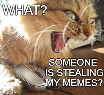 Don't you hate it when that happens?  | WHAT? SOMEONE IS STEALING MY MEMES? | image tagged in angry cat online | made w/ Imgflip meme maker