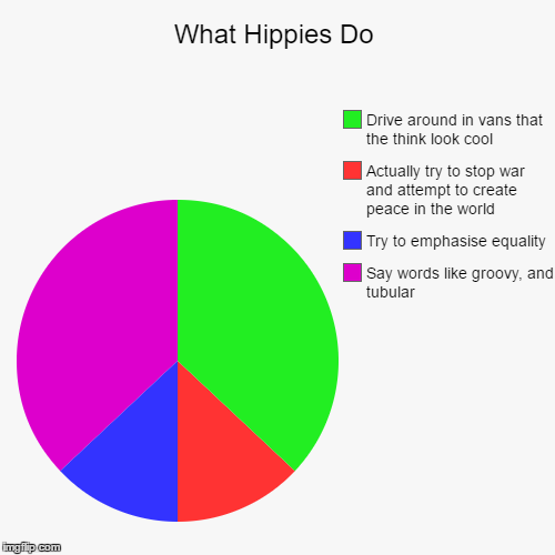 Why Hippies are Useless | image tagged in funny,pie charts,meme,relateable,hippie,grumpy cat | made w/ Imgflip chart maker