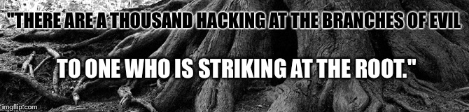 Strike at the... | "THERE ARE A THOUSAND HACKING AT THE BRANCHES OF EVIL; TO ONE WHO IS STRIKING AT THE ROOT." | image tagged in henry david thoreau,evil,branches,root | made w/ Imgflip meme maker