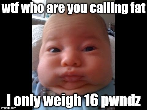 wtf who are you calling fat; I only weigh 16 pwndz | image tagged in funny baby,swag,beautiful,sexy beast | made w/ Imgflip meme maker