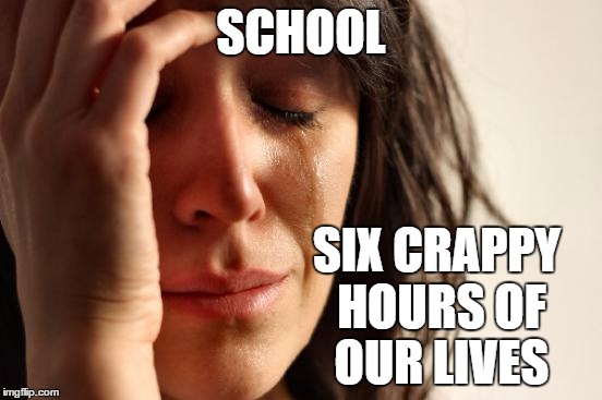 First World Problems Meme | SCHOOL SIX CRAPPY HOURS OF OUR LIVES | image tagged in memes,first world problems,school,pie charts,gifs,grumpy cat | made w/ Imgflip meme maker