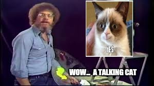 Whoa  | WOW...  A TALKING CAT | image tagged in memes,bob ross week | made w/ Imgflip meme maker
