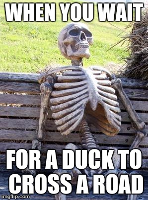 Waiting Skeleton | WHEN YOU WAIT; FOR A DUCK TO CROSS A ROAD | image tagged in memes,waiting skeleton | made w/ Imgflip meme maker