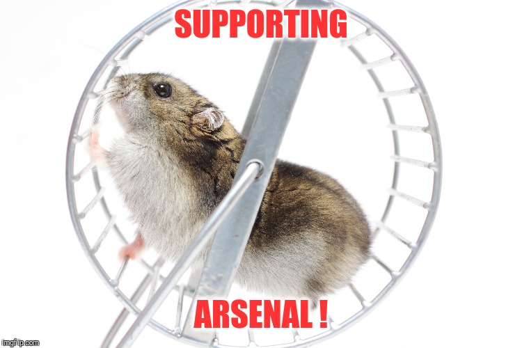 Supporting Arsenal | SUPPORTING; ARSENAL ! | image tagged in arsenal,arsene wenger,supporter,supporters,football,soccer | made w/ Imgflip meme maker