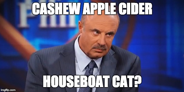 wait, what | CASHEW APPLE CIDER; HOUSEBOAT CAT? | image tagged in dr phil,cash me ousside how bow dah,cash me ousside,cash me outside | made w/ Imgflip meme maker