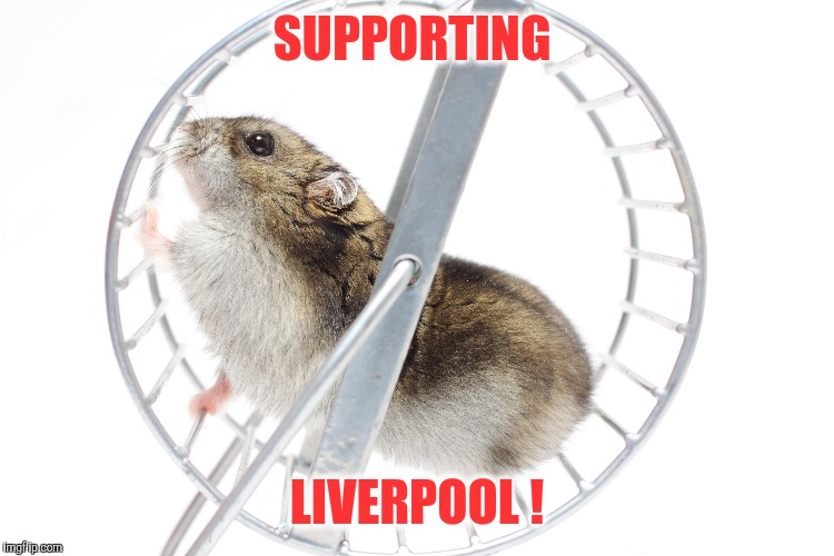 Supporting Liverpool ! | SUPPORTING; LIVERPOOL ! | image tagged in liverpool,liverpool supporters,supporters,football,soccer | made w/ Imgflip meme maker