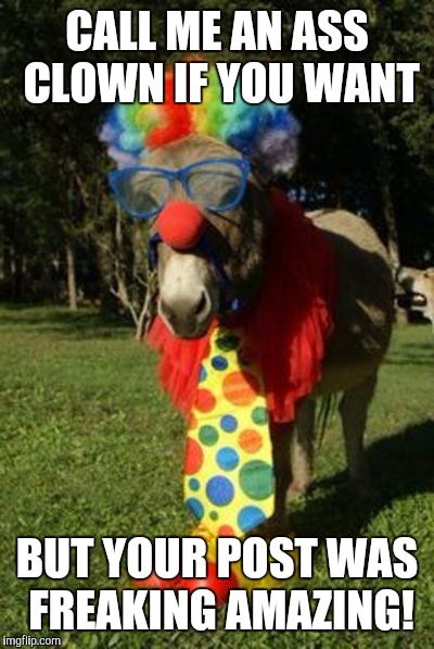 Ass clown | CALL ME AN ASS CLOWN IF YOU WANT BUT YOUR POST WAS FREAKING AMAZING! | image tagged in ass clown | made w/ Imgflip meme maker