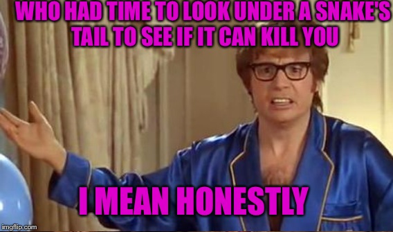 WHO HAD TIME TO LOOK UNDER A SNAKE'S TAIL TO SEE IF IT CAN KILL YOU I MEAN HONESTLY | made w/ Imgflip meme maker