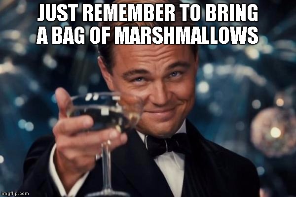 Leonardo Dicaprio Cheers Meme | JUST REMEMBER TO BRING A BAG OF MARSHMALLOWS | image tagged in memes,leonardo dicaprio cheers | made w/ Imgflip meme maker