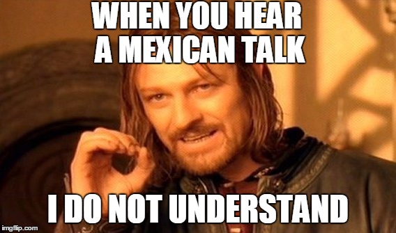 One Does Not Simply | WHEN YOU HEAR A MEXICAN TALK; I DO NOT UNDERSTAND | image tagged in memes,one does not simply | made w/ Imgflip meme maker