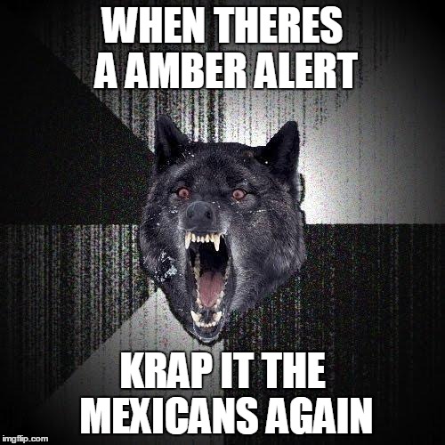 Insanity Wolf Meme | WHEN THERES A AMBER ALERT; KRAP IT THE MEXICANS AGAIN | image tagged in memes,insanity wolf | made w/ Imgflip meme maker